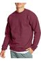 Hans men's ecosmart technology sweatshirt