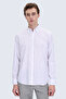 Mink Comfort Fit Striped Buttoned Collar 100% Cotton Long Sleeve Casual Shirt