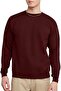 Hans men's ecosmart technology sweatshirt