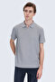 Gray Regular Fit Polo Collar Cotton T-Shirt