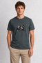 Men's Urban Pigeons Ink Print Design - Smoked
