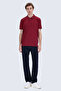 Burgundy Regular Fit Polo Collar 100% Mercerized Cotton T-Shirt - 2