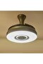 Baku LED Ceiling Fan With Remote Control And Bluetooth Speakers - 3 Color Dimmable Light - Coffee - 6