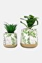 Bambi Ceramic Planters With Plants Set