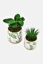 Bambi Ceramic Planters With Plants Set - 3