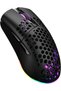 Mouse wireless IGM-5000-BK negru - 2