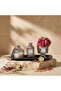 Muse Reed Diffuser Gift Set - 2