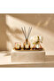 Elan Reed Diffuser Gift Set