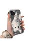 iPhone 11 Pro Compatible Hard Acrylic Back Silicone Edge Lens Protection Case