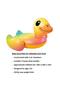 Pool Float Bundle - 2