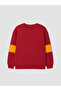 I Licensed Printed Boys' Thick Sweatshirt from Freezen Store - 3