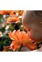 Baby Moments Gentle Eau De Cologne – Refreshing Scent for Babies and Newborns 0+ 100 ML - 3