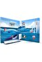 Plucky Penguins Flip Flap Fun Book - 3