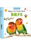BABY'S FIRST BOARD BOOKS (A SET OF 20 BOOKS) - 7