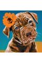 Art Maker Essentials: Painting by Numbers Cute Puppies - 7