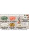 60's Mold Green-Salmon-Gold Balloon Set, Soft Birthday Concept - 3