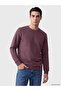 Plum Crew Neck Men's Thick Sweatshirt (W6) - 2