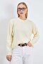 Basic Crew Neck Casual Knit Sweater