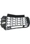 GRILLE CALANDRE*FRONT GRIL - 2