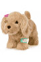 Cocker Spaniel and Veterinary Care Kit - 4