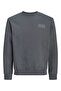 Jjpan Sweat Crew Neck