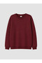 Lcw Kids Boys' Thick Sweatshirt