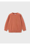 Boy's Cotton Basic Sweater 323