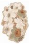 Sdt Floral Patterned Modern Woven Base Decorative Carpet Sdtamour4083 - 3