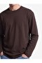 Regular Fit Cotton Lu Long Sleeve Crew Neck T-Shirt - 2