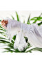 Women's White Blouse - 3
