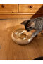 Cat Ring Toy Donut Bulk Interactive Cat Toy Food Reward Toy - 2