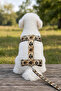 H Type Printed Adjustable Chest Harness and Travel Strap Set - 2