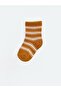 Dinosaur Embroidered Baby Boy Socks 5-Pack (W6) - 3