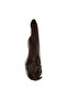 Mini Buckle Daal Ponytail / Chestnut Brown - 3