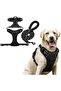 Dog Harness and Leash Set, Breathable and Selective Soft-Shell Padded Vest for Pets, Comfortable and Adjustable.