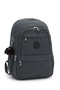 Gray Unisex School Backpack Crinkle Waterproof Fabric Large Size Middle School High School University Cty - 3