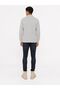 Regular Fit Men's Polo U.Kol - 3