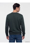 Crew neck printed men's sweatshirt - 4