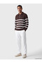 Ozmarka New Season Brown Polo Collar Striped Men's Sweatshirt - 2