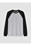 Xside Gray Crew Neck Raglan Sleeve Men's Sweatshirt - 5