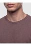 Vizyon New Season Plum Crew Neck Long Sleeve Combed Cotton Men's T-Shirt - 3