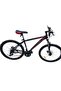 2624 Aluminum Bicycle - 2