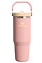 The iceflow flip straw 2.0 tumbler 0.89l colorful