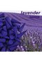 Incense Cones | Lavender 200 Pieces | | Sandlewood, Rose, Lavendar, Oud, Bakhoor, Jasmine, Orange, Lemon Grass, Cherry Blossom, Sage, Agarwood, Dragon Blood, Osmanthus. (200 Cones) - 3