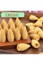 Premium Backflow Incense Cones (148-Piece Mega Bundle) – All-Natural Long Lasting Waterfall Incense Cones for Relaxation, Home Fragrance & Meditation. (Lemon-148 Cones)