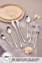 Seashell 316+ 84 Piece Cutlery Set, with Box - 5