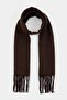 Brown Soft Textured Women's Tassel Scarf Takaw27At00002