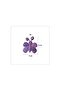 Children's Room Furniture Handle Cupboard Button Purple Butterfly No:31 - 2