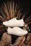 Summer Genuine Leather Ecru Women's Ballet Flats Anti-Sweat Orthopedic Comfortable - 5
