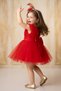 Baby Girl Girl Kid Birthday Party Wedding Dress Sleeveless Crowned Ruffled Tulle Tutu Tutu with Lining